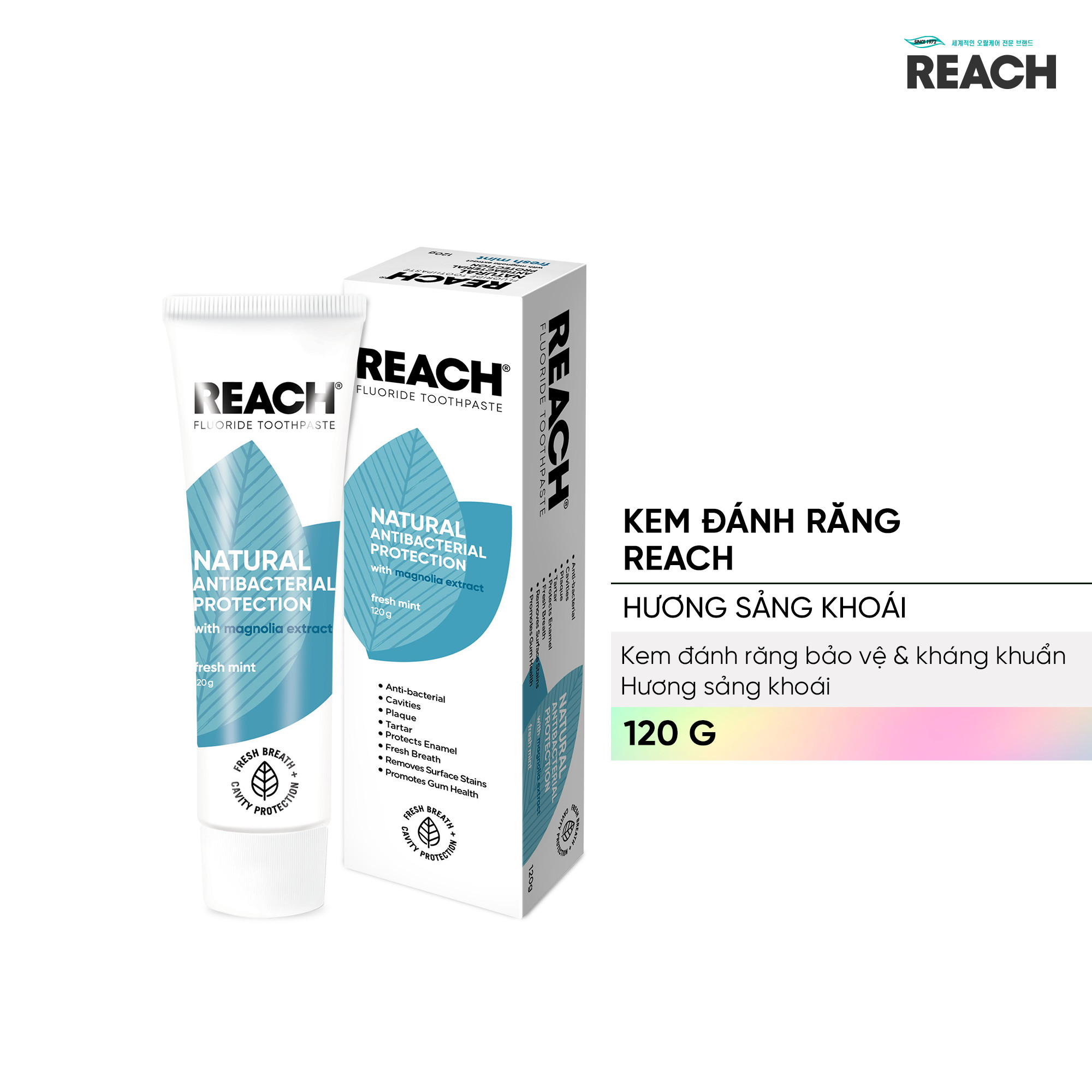 Kem đánh răng bảo vệ và kháng khuẩn Reach hương bạc hà sảng khoái 120g