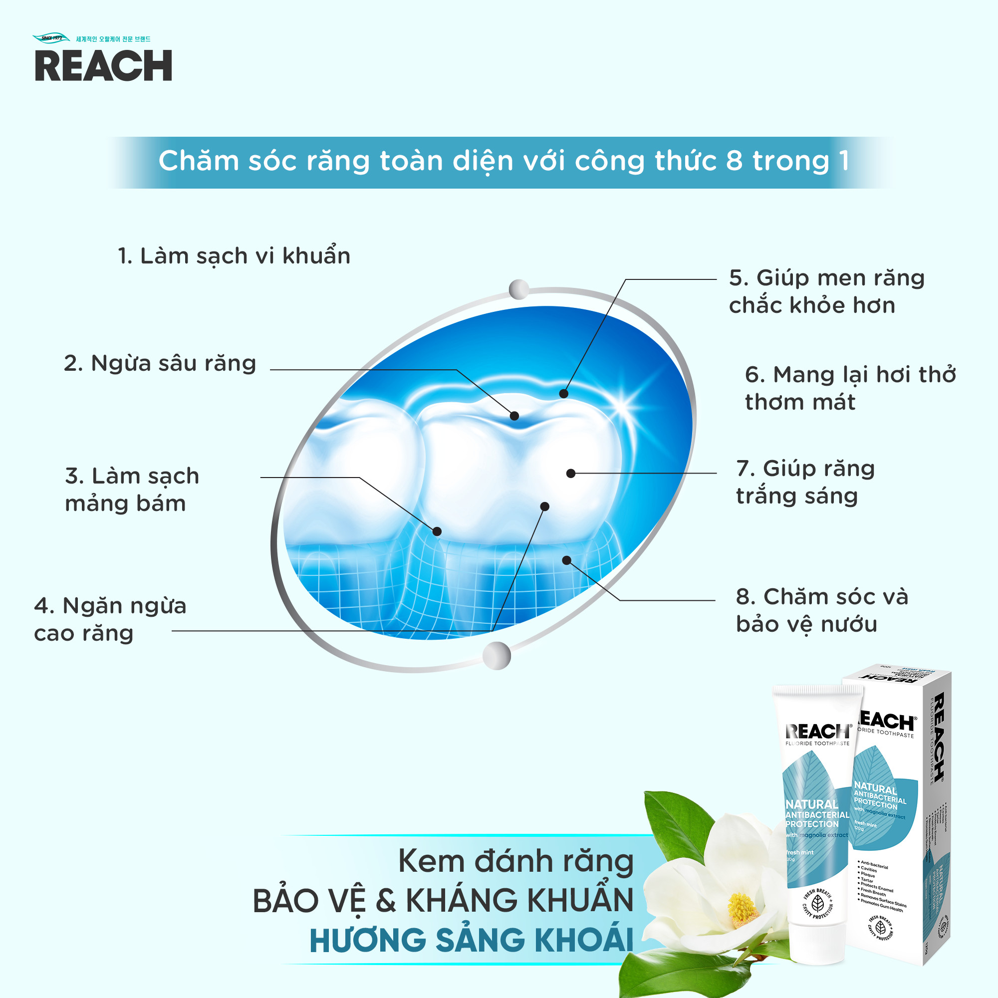 Kem đánh răng bảo vệ và kháng khuẩn Reach hương bạc hà sảng khoái 120g