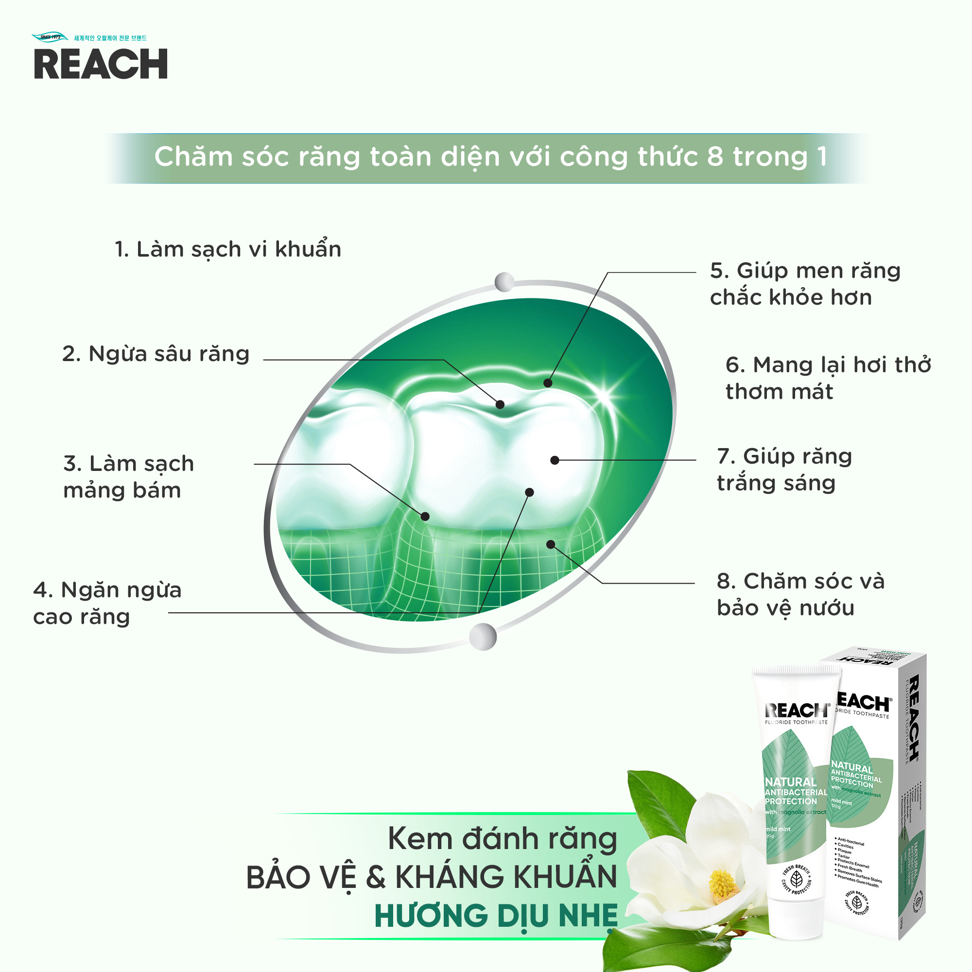 Kem đánh răng bảo vệ và kháng khuẩn Reach hương bạc hà dịu nhẹ 120g